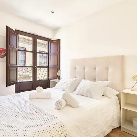 Historico Universidad